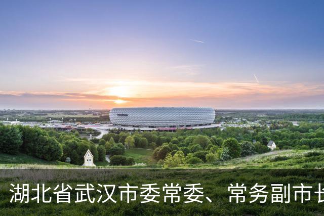 湖北省武汉市委常委、常务副市长张斐简历