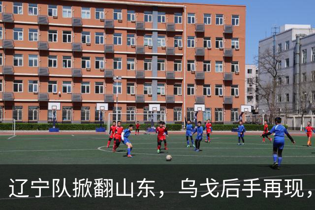 辽宁队掀翻山东，乌戈后手再现，邱彪咋接招